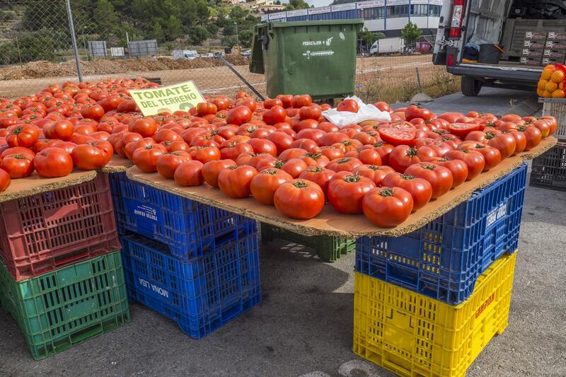 3 soverom Villa til salgs