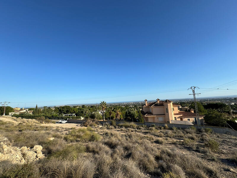 Land til salgs i Elx/Elche, Alicante