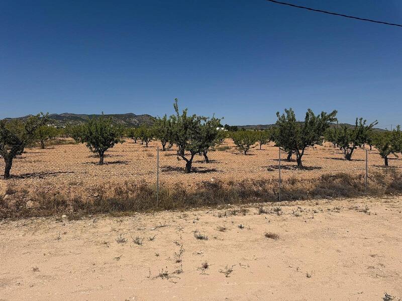 3 soveværelse Villa til salg