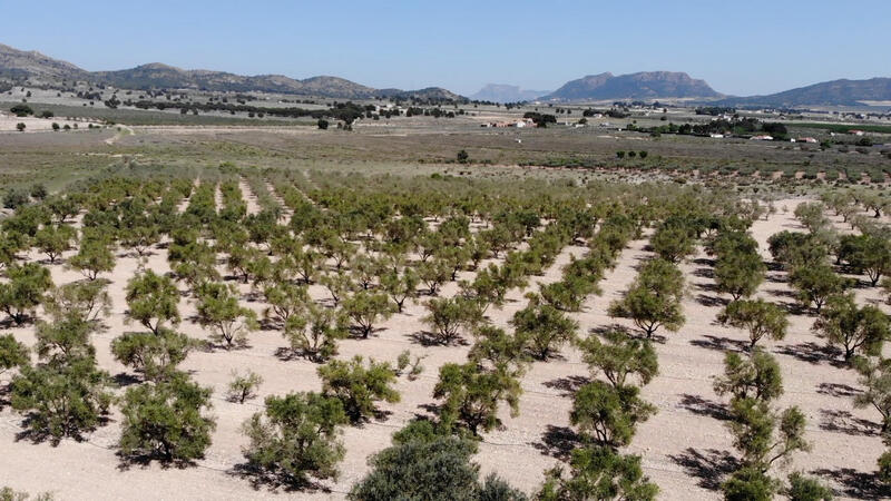 Local Comercial en venta