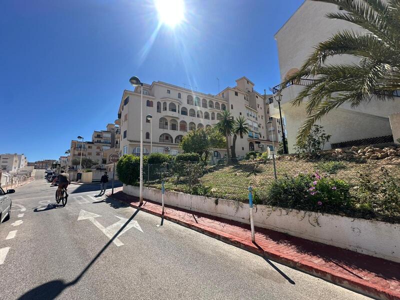 1 chambre Appartement à vendre