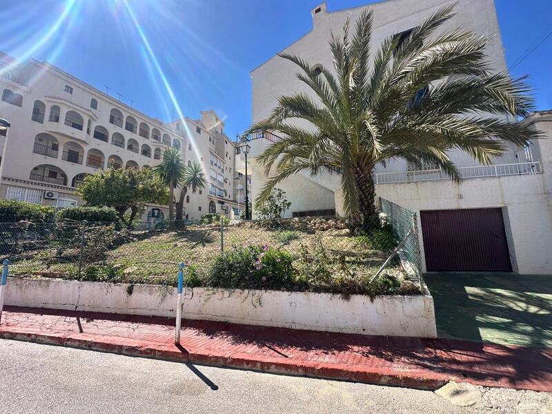 1 chambre Appartement à vendre