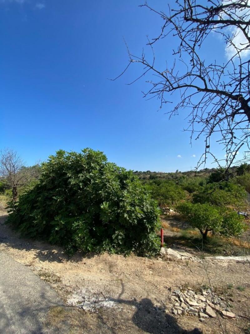 2 soveværelse Landsted til salg 2 soveværelse Landsted til salg