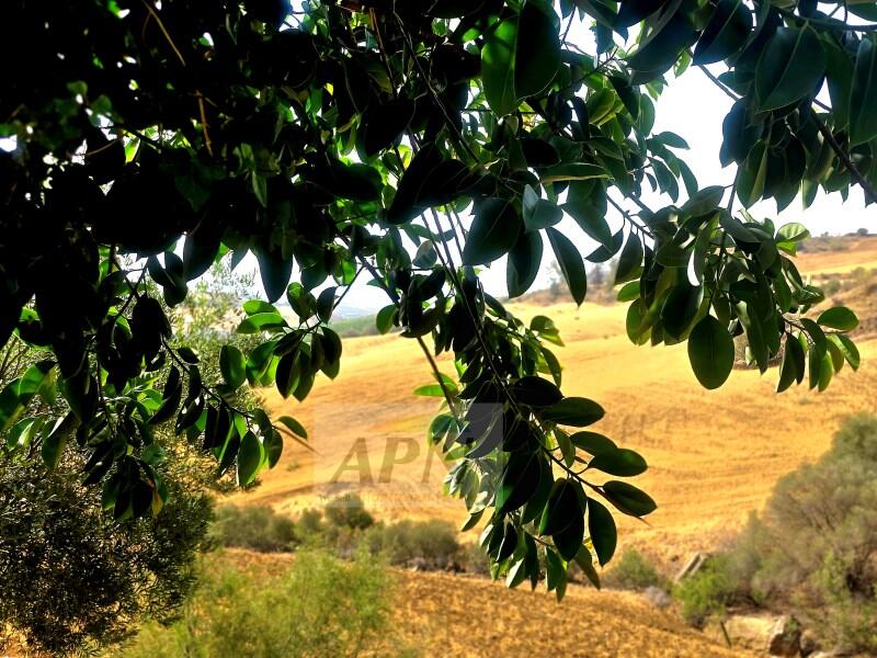 4 Schlafzimmer Landhaus zu verkaufen 4 Schlafzimmer Landhaus zu verkaufen