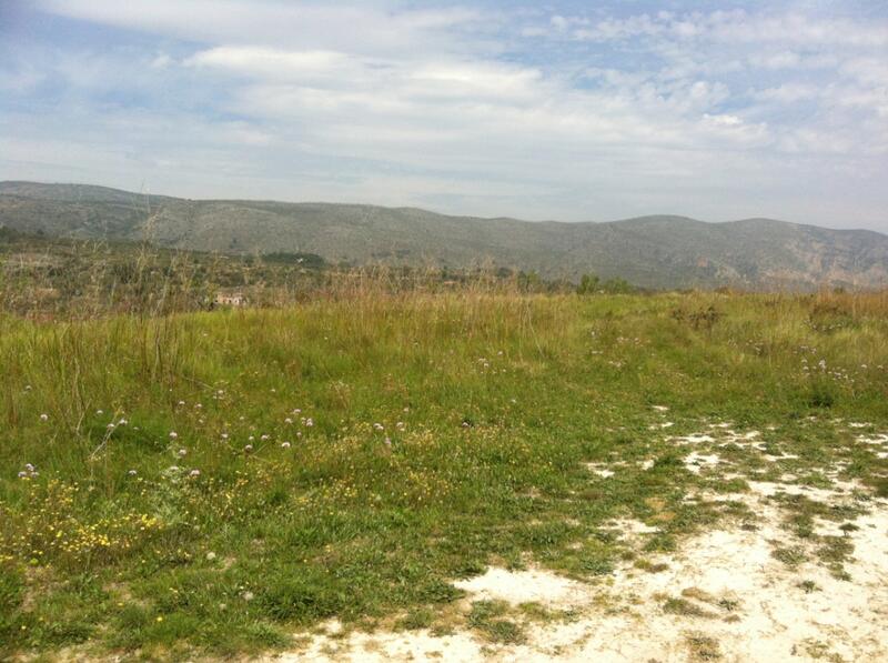 Villa for sale Villa for sale