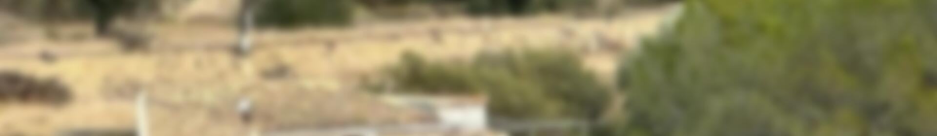 Herregård til salgs