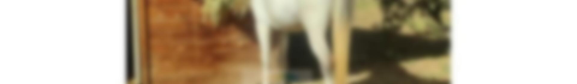 2 soveværelse Landsted til salg