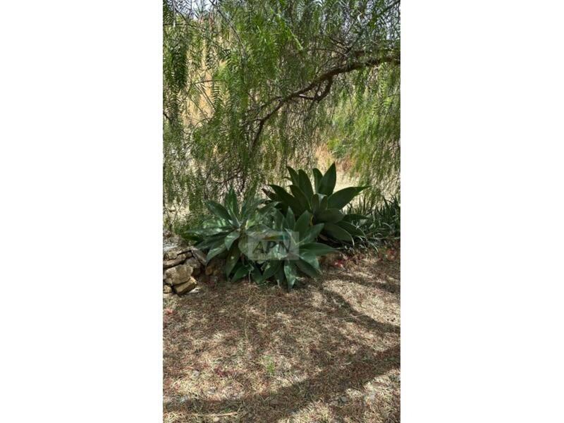 3 soverom Herregård til salgs