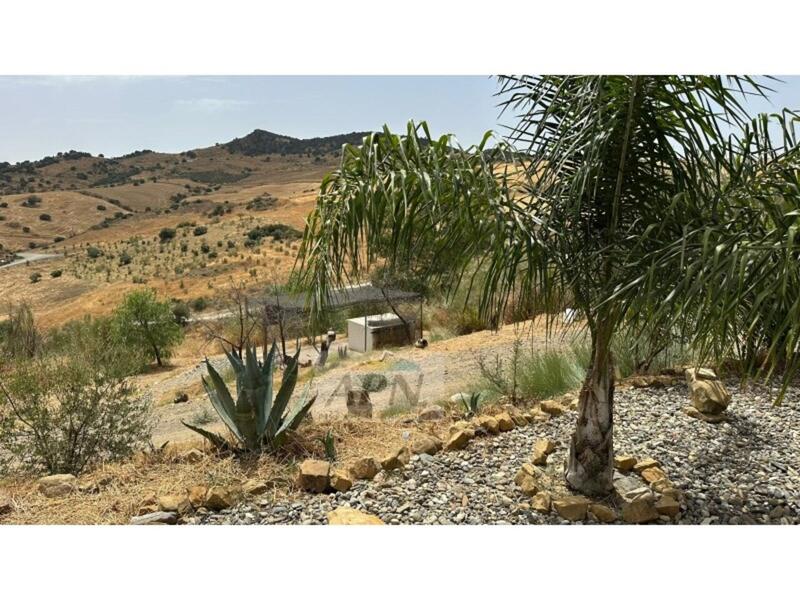 3 soverom Herregård til salgs