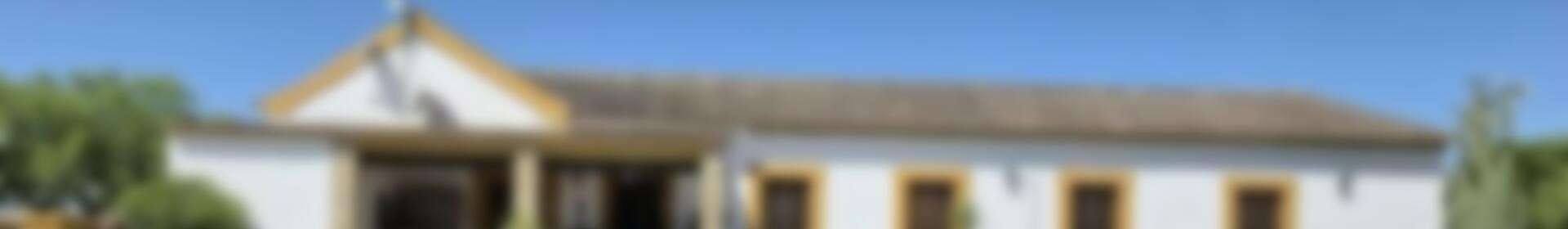 4 chambre Auberge à vendre