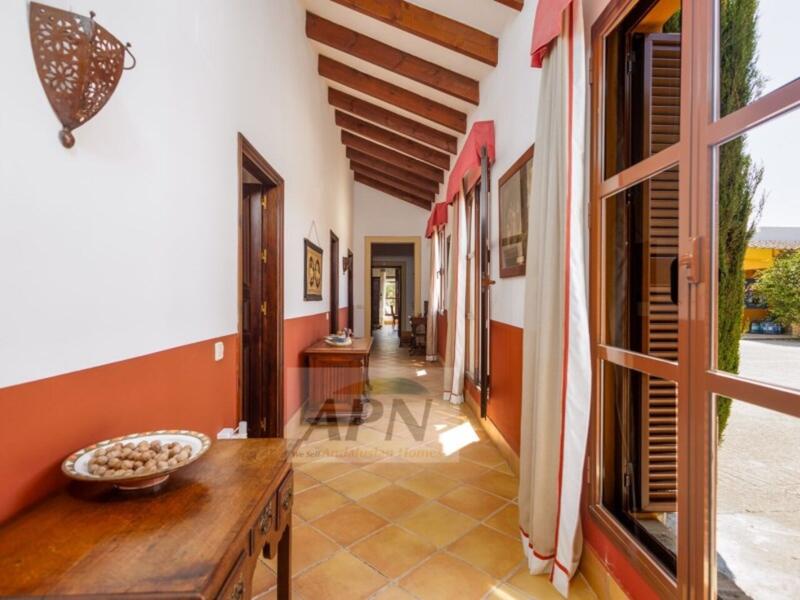 4 chambre Auberge à vendre