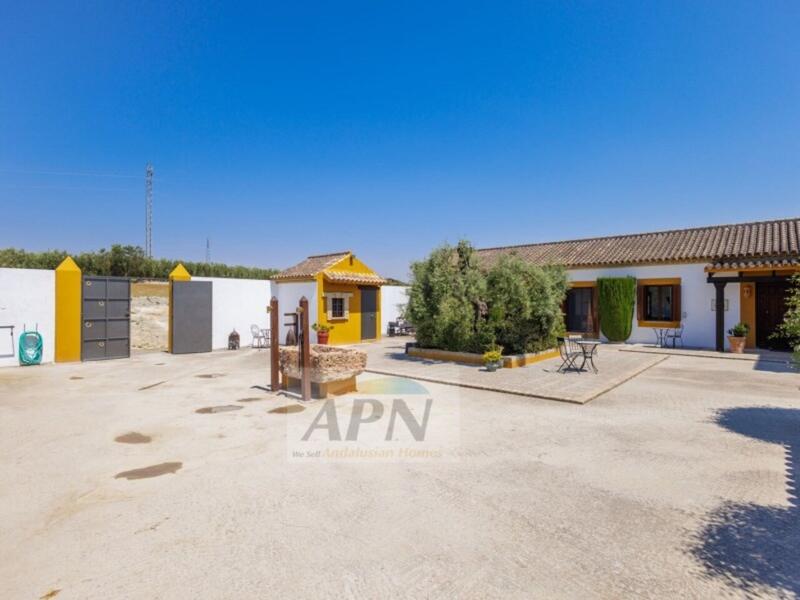 4 chambre Auberge à vendre