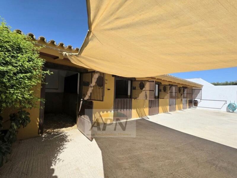 4 chambre Auberge à vendre