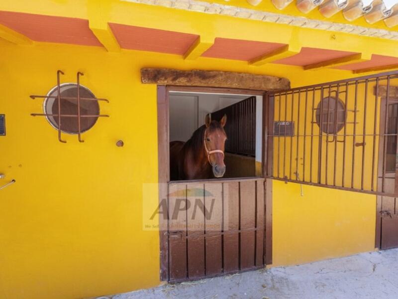 4 chambre Auberge à vendre