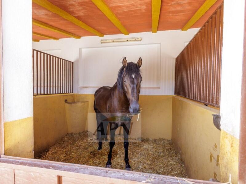 4 chambre Auberge à vendre