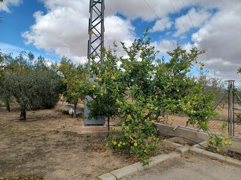 4 bedroom Country House for sale 4 bedroom Country House for sale