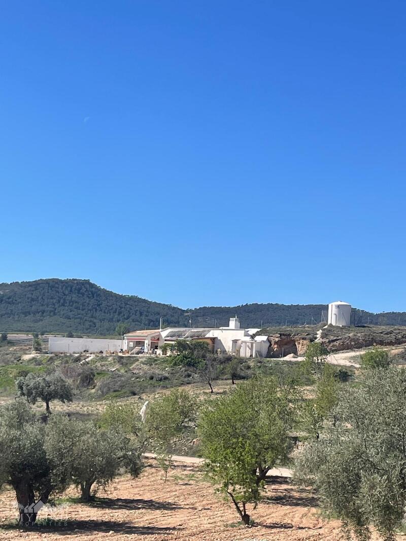 3 bedroom Cave House for sale 3 bedroom Cave House for sale