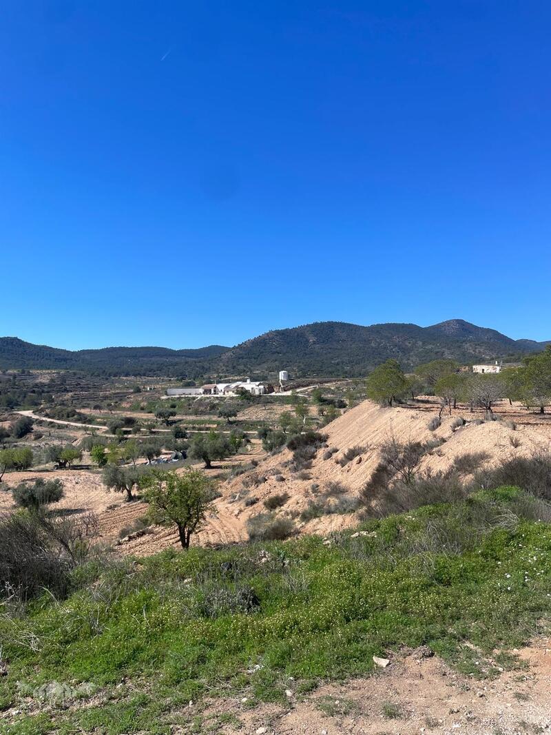 3 bedroom Cave House for sale 3 bedroom Cave House for sale