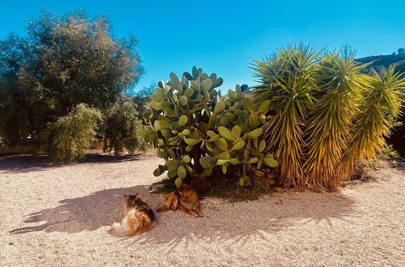 5 bedroom Country House for sale