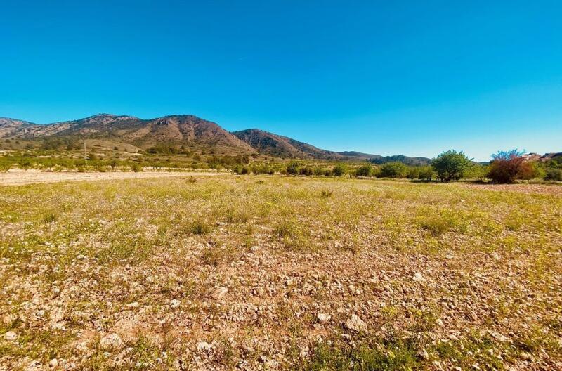 5 bedroom Country House for sale