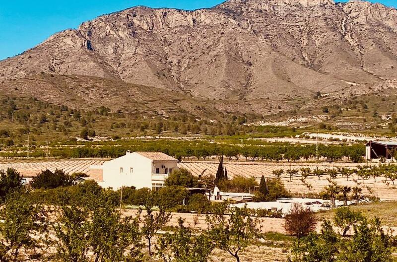 5 bedroom Country House for sale