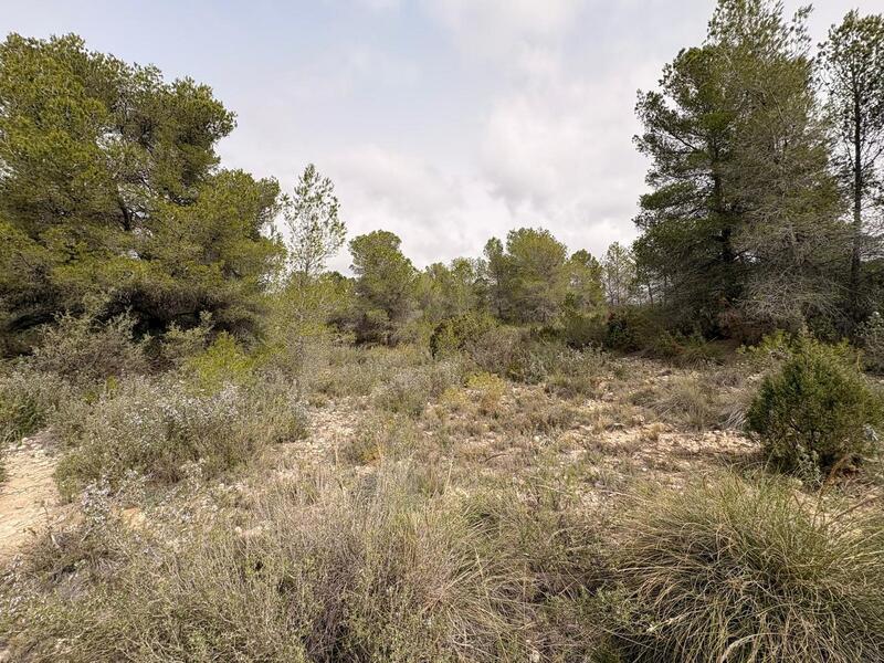 Land til salgs Land til salgs