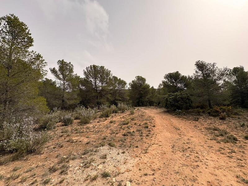 Land til salgs Land til salgs