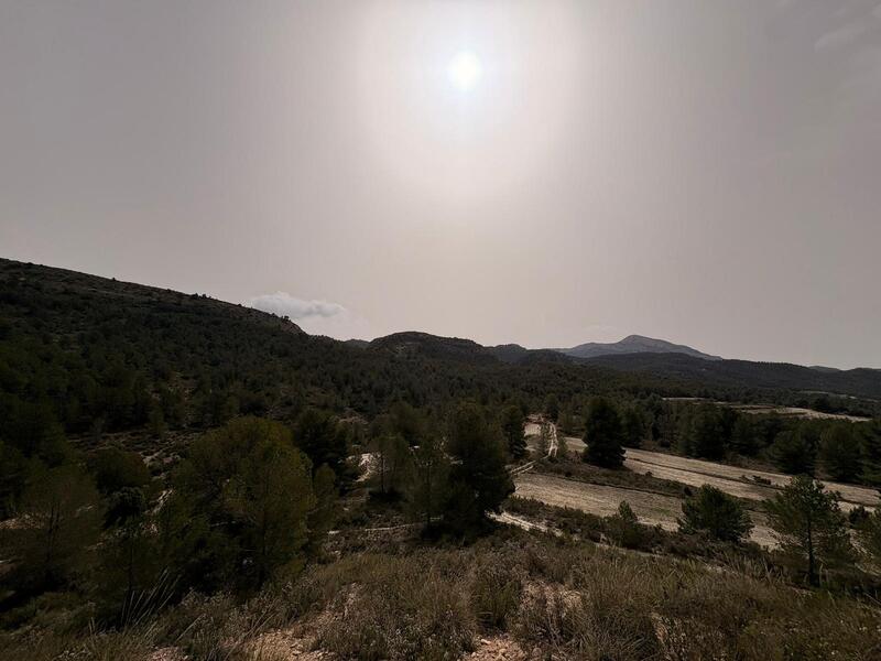 Land til salgs Land til salgs