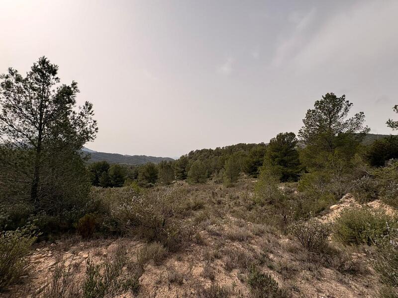 Land til salgs Land til salgs