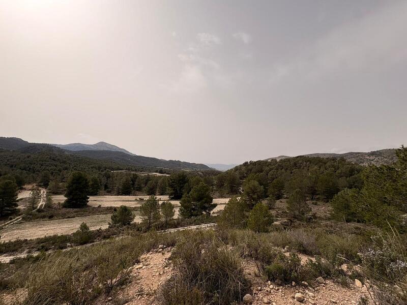 Land til salgs Land til salgs