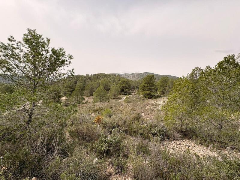 Land til salgs Land til salgs