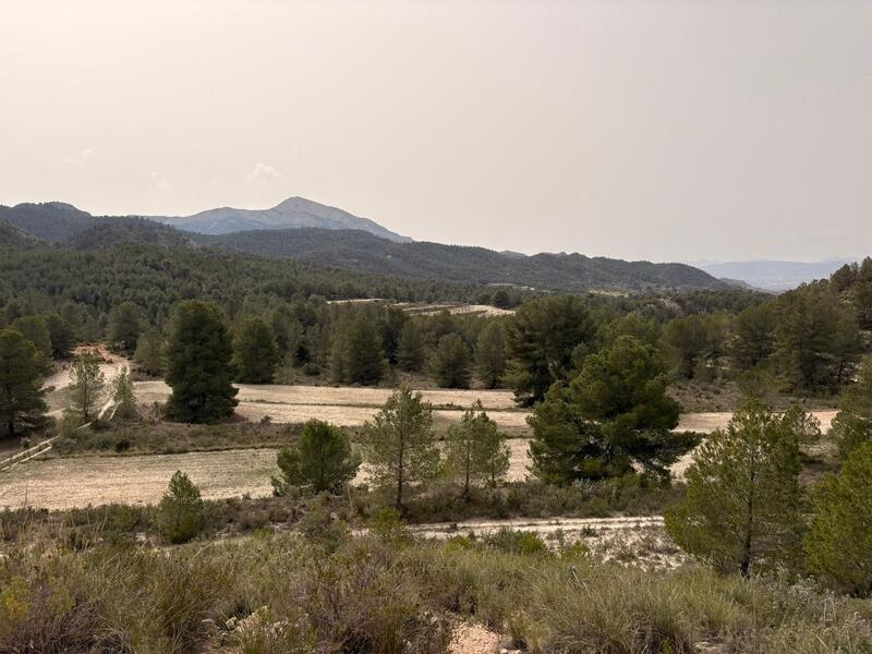 Land til salgs Land til salgs