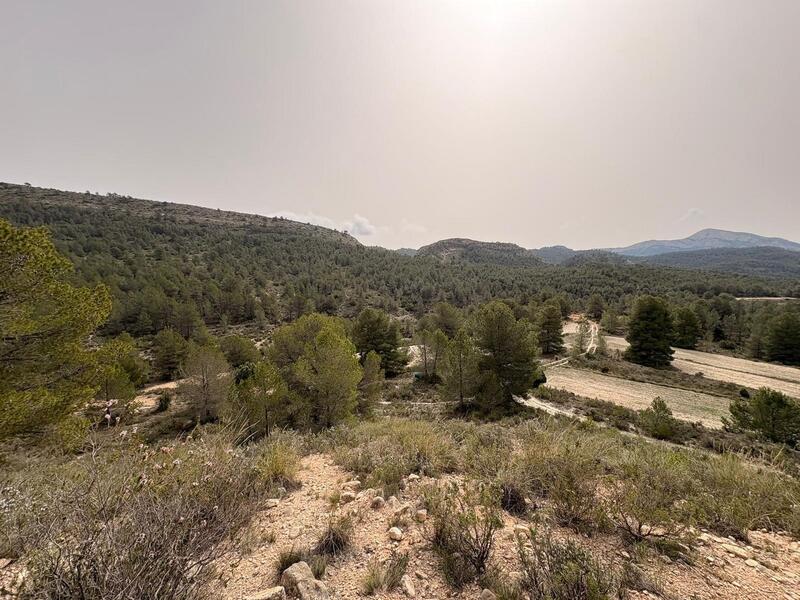 Land til salgs Land til salgs