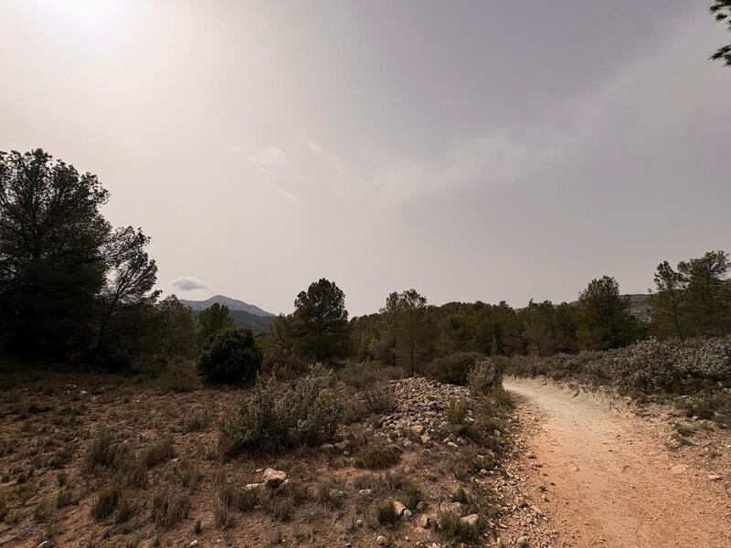 Land til salgs Land til salgs