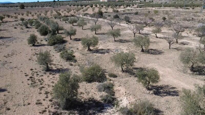 2 soverom Villa til salgs 2 soverom Villa til salgs