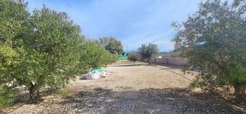 1 bedroom Country House for sale