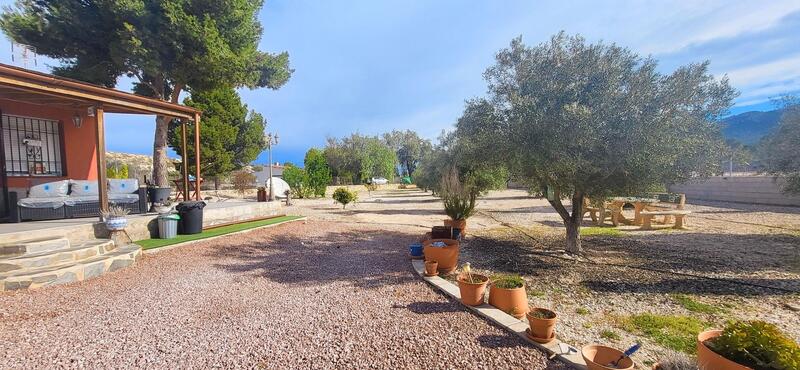 1 bedroom Country House for sale