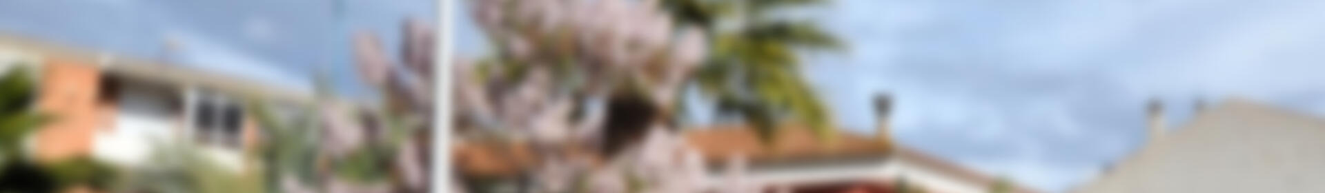 4 chambre Villa à vendre