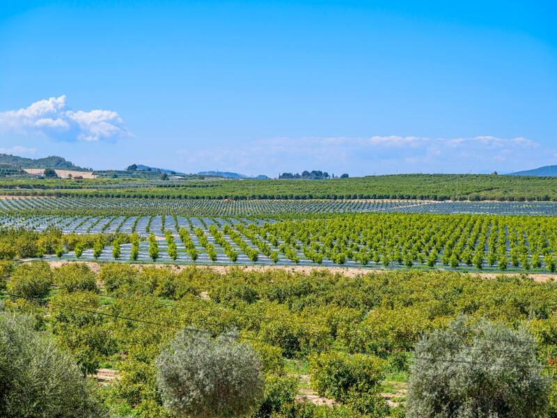 2 slaapkamer Appartement Te koop