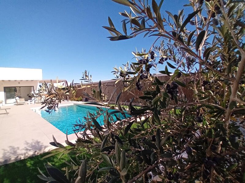 3 Cuarto Villa en venta