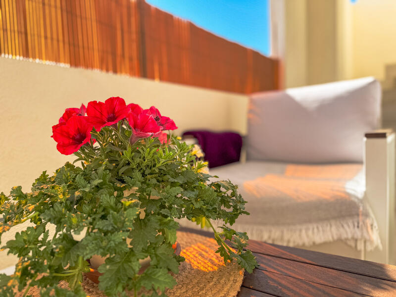 2 спальная комната вилла продается 2 спальная комната вилла продается