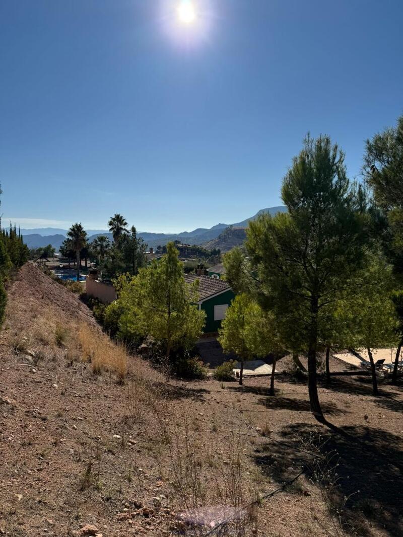 5 bedroom Apartment for sale