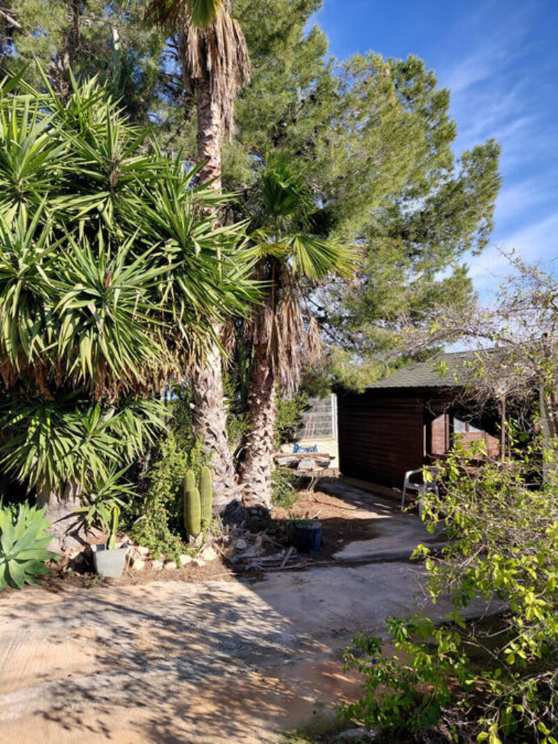 3 chambre Appartement à vendre