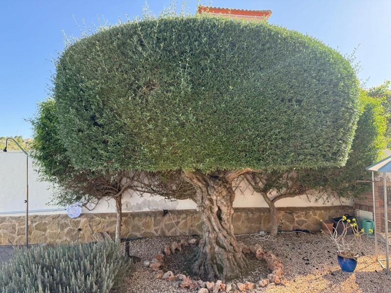3 Schlafzimmer Villa zu verkaufen