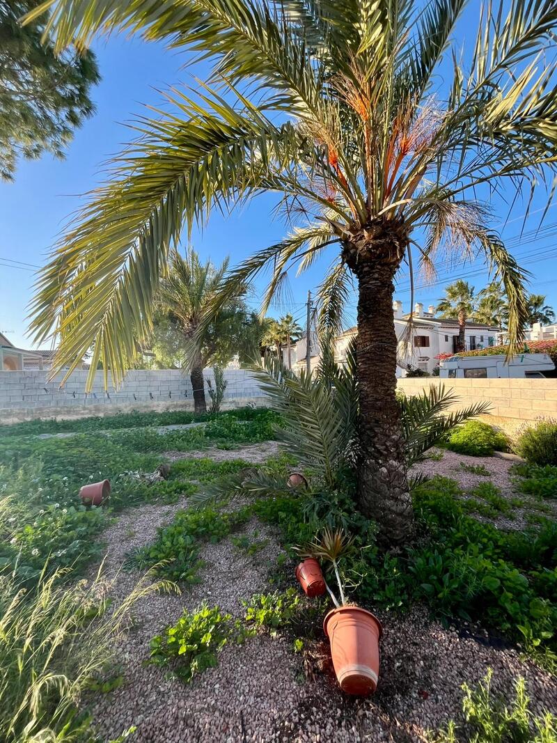 3 chambre Villa à vendre