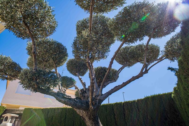 3 soverom Villa til salgs