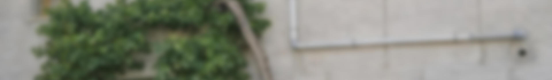 7 sovrum Lantställe till salu