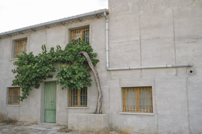 Auberge à vendre dans Salinas, Alicante