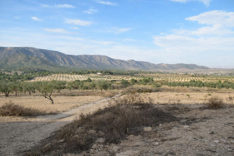 7 sovrum Lantställe till salu