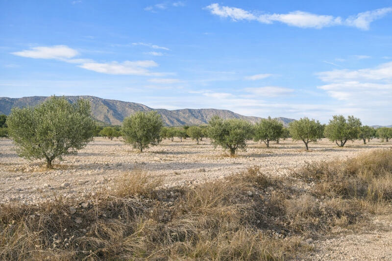 7 sovrum Lantställe till salu
